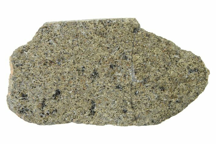 Martian Shergottite Meteorite ( g) Slice - NWA #337589